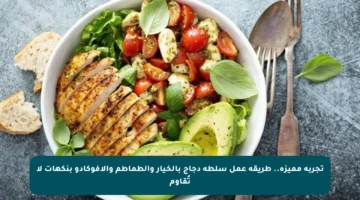 تجربة مميزة.. طريقة عمل سلطة دجاج بالخيار والطماطم والأفوكادو بنكهات لا تُقاوم